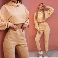 Autumn Winter Two Piece Set Women Hoodie Fleece Sweatshirt Crop Top and Pants Tracksuit Sports Jogging Suit Female Clothing Sets
