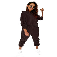 Autumn Velour Tracksuit Womens Velvet Set Woman Tracksuit Sets Winter Velvet Suit Two Piece Set Women 2 Piece Outfits